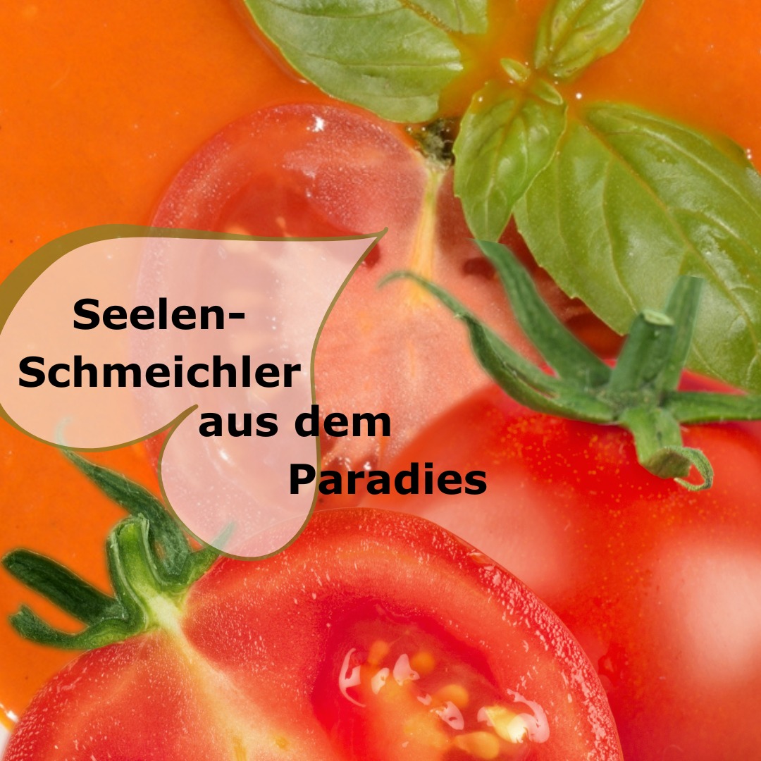 Tomatenketchup begann seine Karriere als Medizin!
Im Jahr 1830 kam Dr. Kilkenny`s Ketchup (in Pillenform) mit dem Versprechen auf den Markt, diverse Beschwerden zu heilen. Die Behörden beendeten diesen „Schwindel“ schnell. Doch als Sauce startete der Ketchup richtig durch.
Wahrscheinlich lag´s und liegt´s am Zucker, denn Zucker macht – zumindest kurzfristig – glücklich. Ein Esslöffel Ketchup entspricht immerhin einem Stück Würfelzucker!
Wir sind der Meinung, dass dabei auch die Tomaten ein Wörtchen mitzureden haben. Tomaten werden auch „Paradeiser“ genannt.
Äpfel aus dem Paradies.
Glückshormone und Seelen-Schmeichler aus dem Paradies.
Unsere „Italienischen Bio Tomatensuppe“ ist somit eine paradiesische Portion Glück.
Erwärmt, gerührt und gelöffelt – garantiert ohne ein Stück Würfelzucker!
www.jooti.de
#vegan #vegansofig #vegansalad #veganfood #veganfoodporn #vegetarianfood #kochenohnetiere #vegansofinstagramm #vegandeutschland #vegankochen #veganfoodlover #kochenohneknochen #suppe #suppen #bio #vegandeutsch #biomarkt #bioprodukte #veganfortheplanet #veganforlife #veganuary #regional #biovegan #fertiggericht