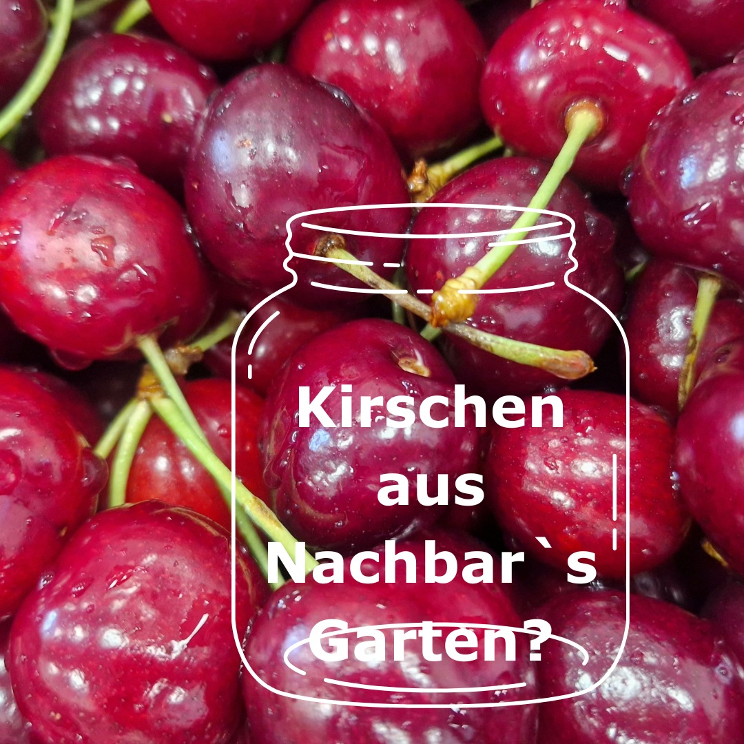 Aus Italien und jetzt in der JooTi-Küche.
Eine ganz spezielle Sorte – süß, saftig und festes Fruchtfleisch.
Wofür?
Lass` dich überraschen … 😍